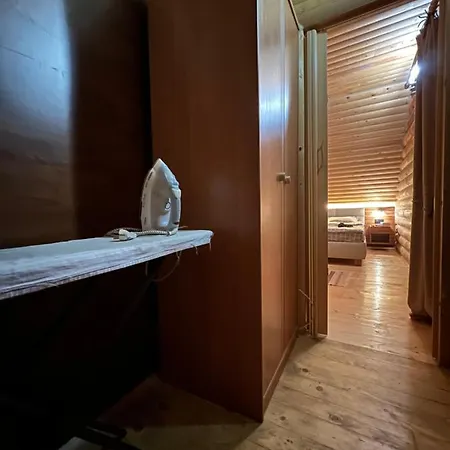 Forest House * Skhidnytsia