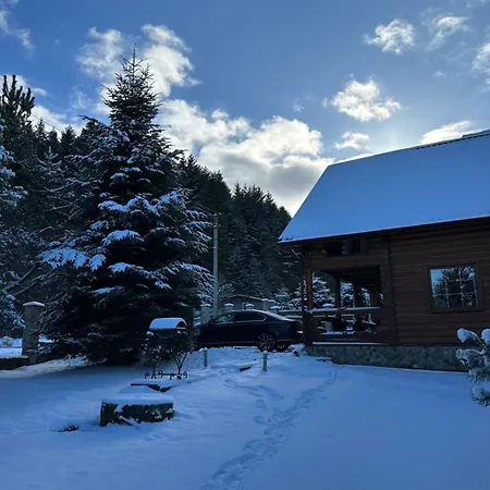 Hytte Forest House Skhidnytsia