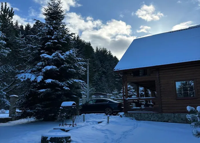 Orman Evi Forest House Skhidnytsia